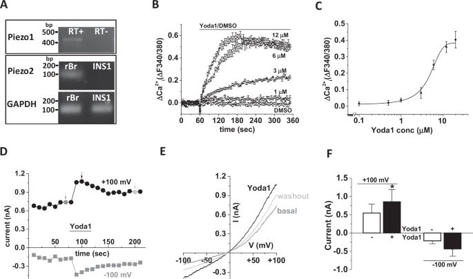 Genaro recommends best of Glucose mimics cell penetration cell Glucose penetration mimics