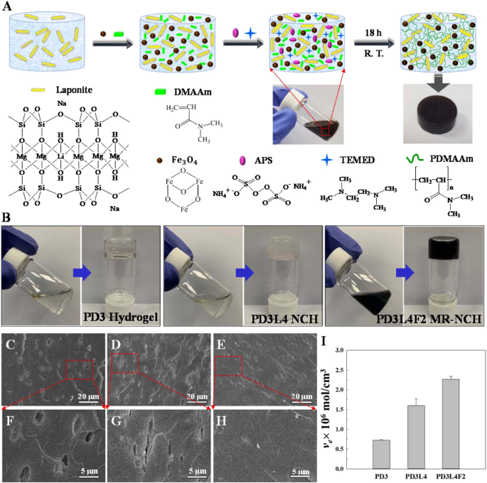 The solid and the gel states of hydrogels observed at different