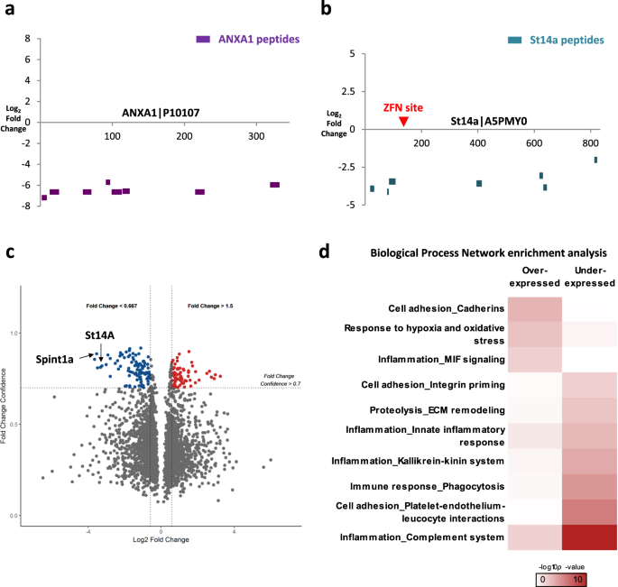 Tracking Genome Editing And Associated Molecular Perturbations By Swath Mass Spectrometry Scientific Reports