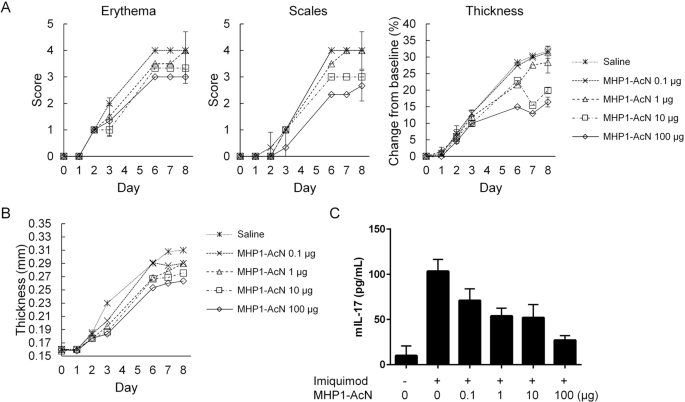 Preventative Effects Of The Partial Rankl Peptide Mhp1 Acn In A Mouse Model Of Imiquimod Induced Psoriasis Scientific Reports Preventative Effects Of The Partial Rankl Peptide Mhp1 Acn In A Mouse Model Of Imiquimod Induced Psoriasis Scientific Reports