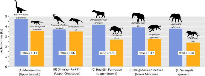 Competition structured a Late Cretaceous megaherbivorous dinosaur assemblage | Scientific Reports Competition structured a Late Cretaceous megaherbivorous dinosaur assemblage | Scientific Reports