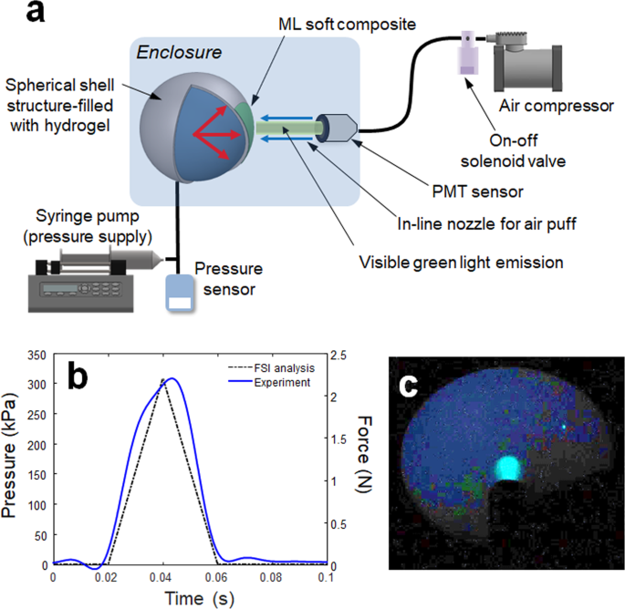 Dual Optical Signal-based Intraocular Pressure-sensing Principle