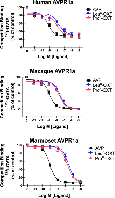 Leu8 and Pro8 oxytocin agonism differs across human, macaque, and marmoset  vasopressin 1a receptors | Scientific Reports