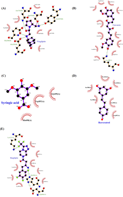 Natural phenolic compounds potentiate hypoglycemia via inhibition of  Dipeptidyl peptidase IV | Scientific Reports