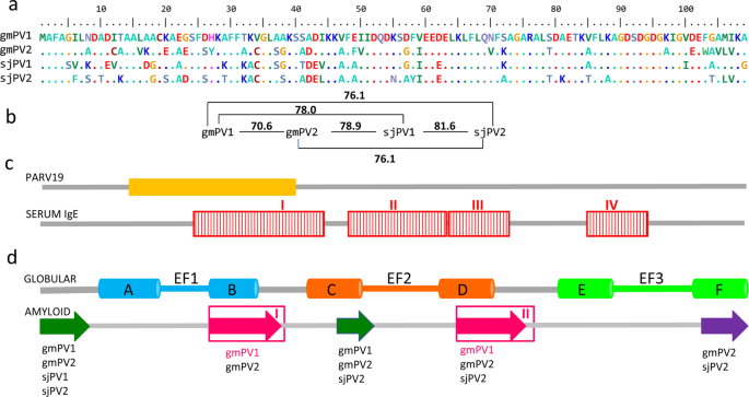 Reconstruction Of Fish Allergenicity From The Content And Structural Traits Of The Component B Parvalbumin Isoforms Scientific Reports