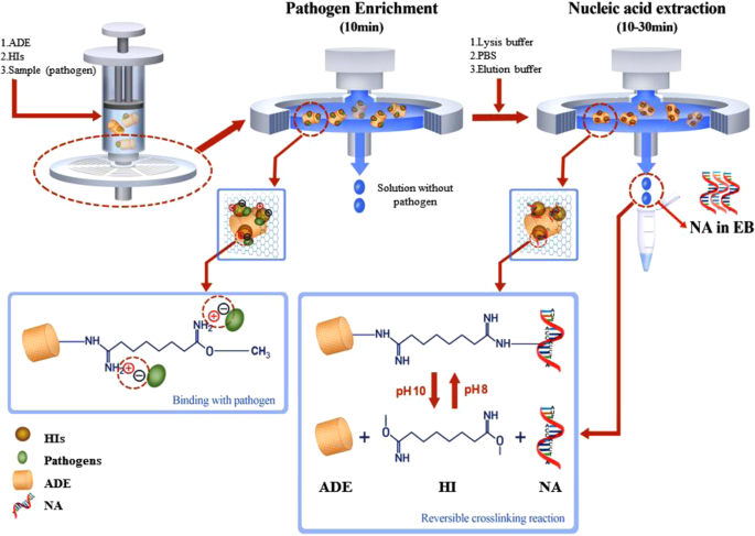 instrument free sample preparation