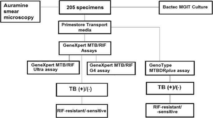 A Comparative Evaluation of the New Genexpert MTB/RIF Ultra and other Rapid  Diagnostic Assays for Detecting Tuberculosis in Pulmonary and Extra  Pulmonary Specimens | Scientific Reports