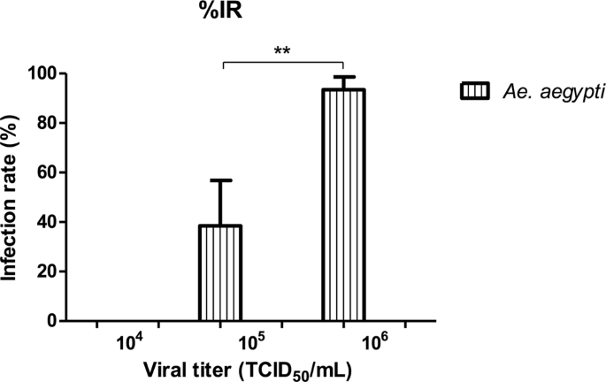 Vector Competence Of Aedes Aegypti And Culex Quinquefasciatus From The Metropolitan Area Of Guadalajara Jalisco Mexico For Zika Virus Scientific Reports