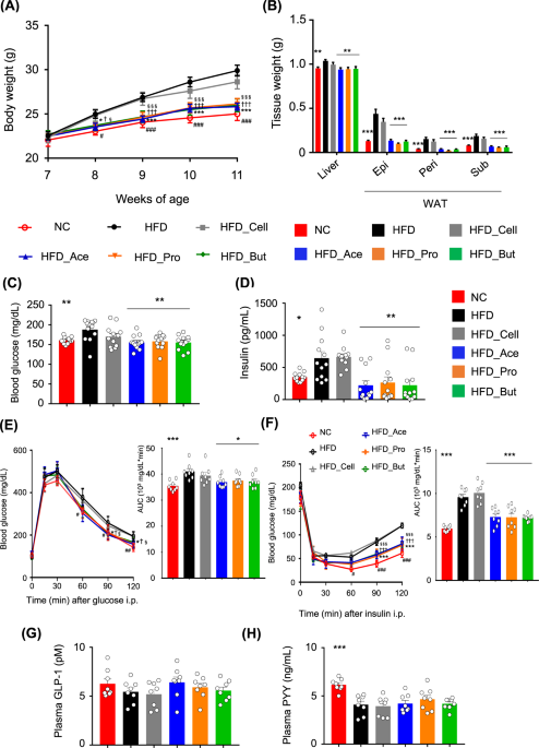 Dietary short-chain fatty acid intake improves the hepatic metabolic  condition via FFAR3 | Scientific Reports