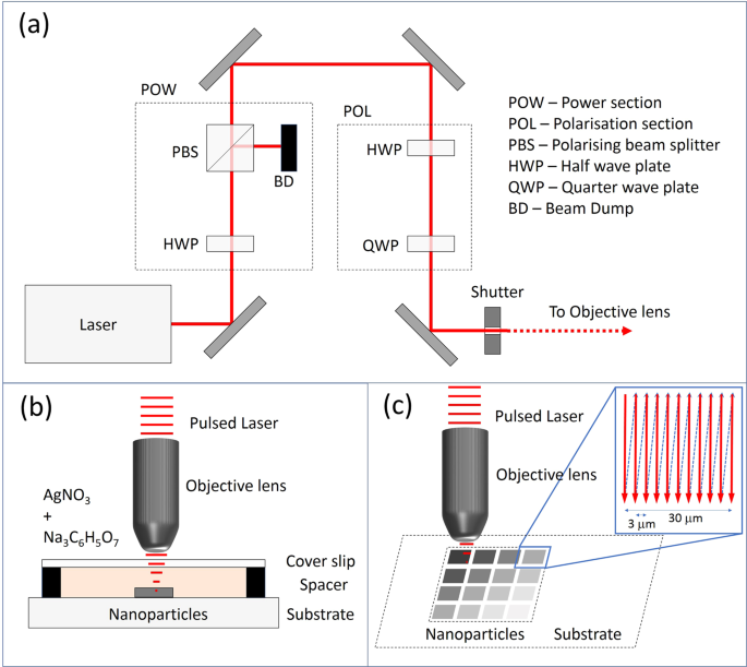 Femtosecond laser fabrication of silver nanostructures on glass for surface  enhanced Raman spectroscopy | Scientific Reports