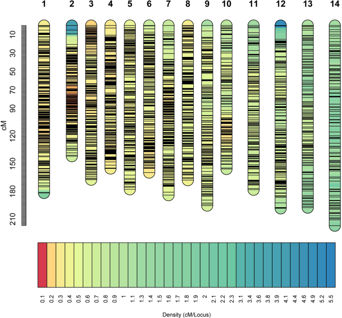 Linkage mapping of quantitative trait loci for fiber yield and its related traits in the population derived from cultivated ramie and wild b. Nivea var. Tenacissima