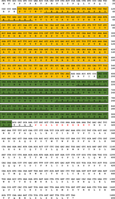 mega database 2019 pgn mega database 2019 pgn