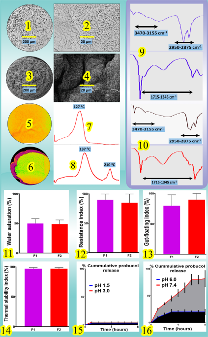 Bile acid bio-nanoencapsulation improved drug targeted-delivery and pharmacological effects via cellular flux: 6-months diabetes preclinical study