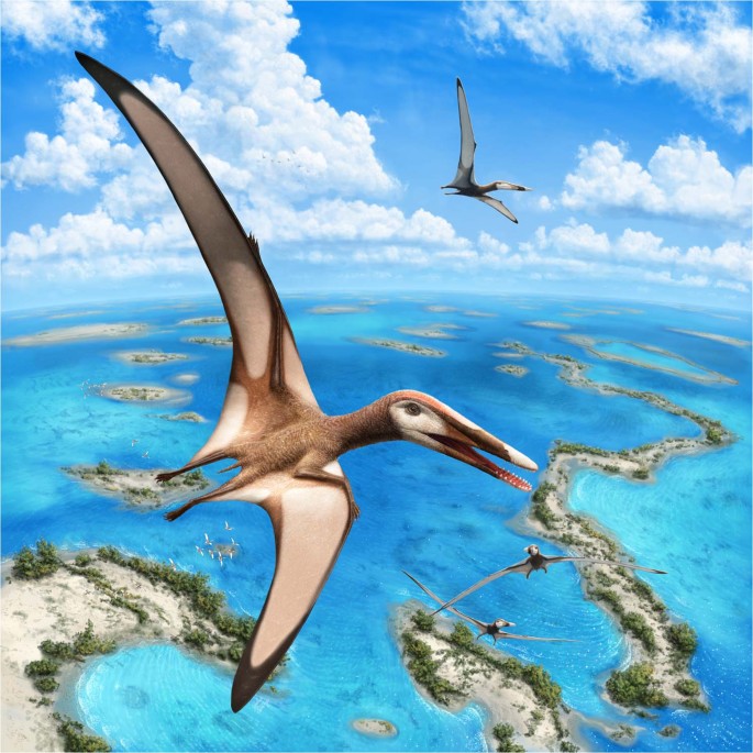 A New Crested Pterosaur from the Early Cretaceous of Spain: The First  European Tapejarid (Pterodactyloidea: Azhdarchoidea)