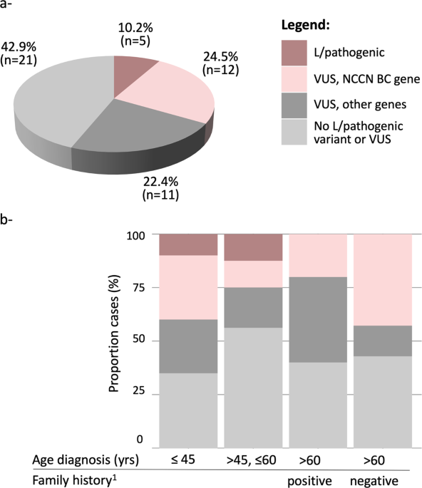 Germline Variants In Cancer Genes In High Risk Non Brca Patients From Puerto Rico Scientific Reports