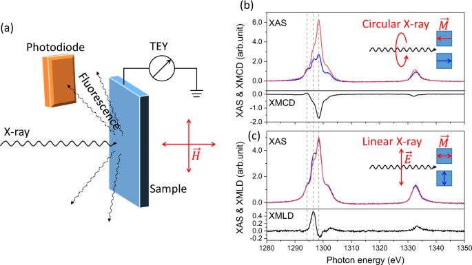 X Ray Magnetic Linear Dichroism As A Probe For Non Collinear Magnetic State In Ferrimagnetic Single Layer Exchange Bias Systems Scientific Reports