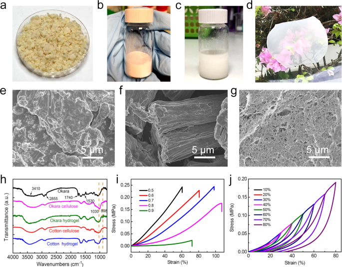 Eco Friendly And Biodegradable Cellulose Hydrogels Produced From