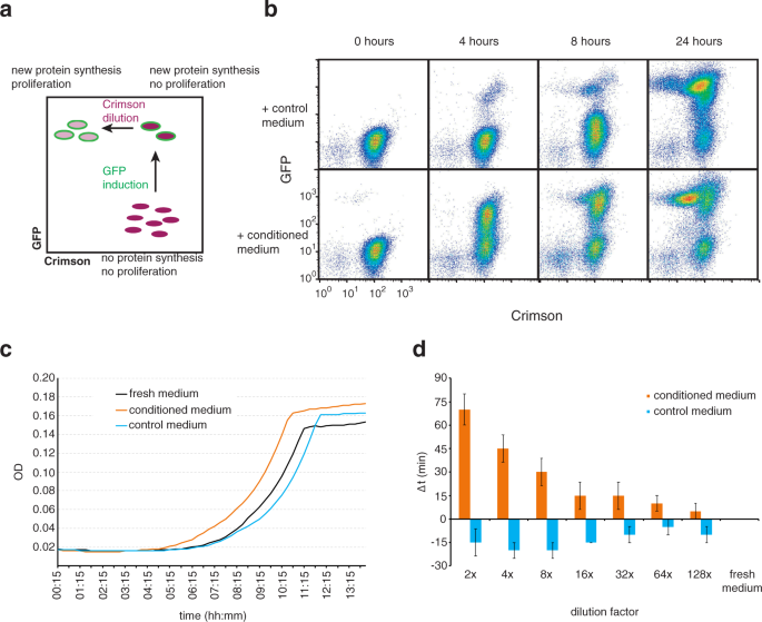 Muropeptides Stimulate Growth Resumption From Stationary Phase In Escherichia Coli Scientific Reports
