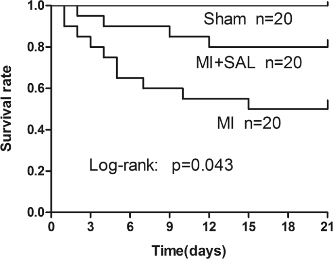 Protective effects of Salidroside on cardiac function in mice with myocardial infarction