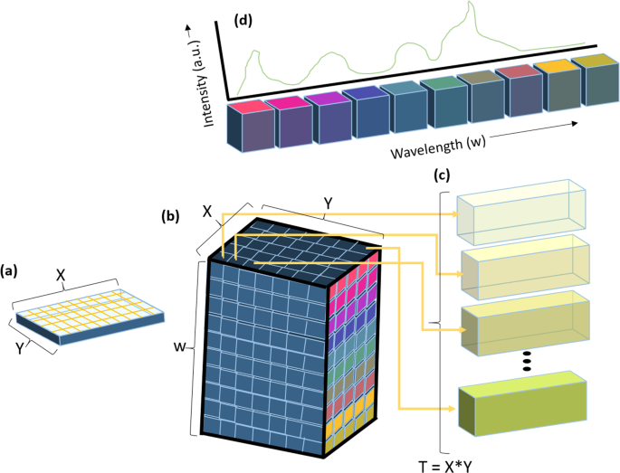 Machine Learning based Analytical Framework for Automatic Hyperspectral  Raman Analysis of Lithium-ion Battery Electrodes | Scientific Reports