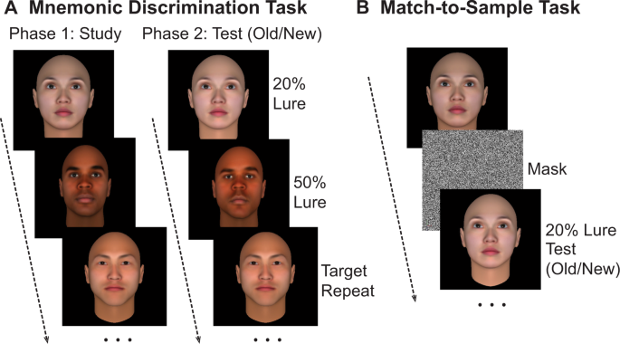Picture of Cross-race effect