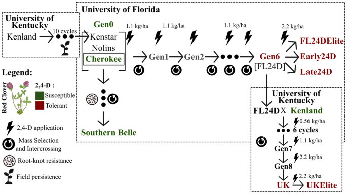 Cost Effective Detection Of Genome Wide Signatures For 2 4 D Herbicide Resistance Adaptation In Red Clover Scientific Reports Cost Effective Detection Of Genome Wide Signatures For 2 4 D Herbicide Resistance Adaptation In Red Clover Scientific Reports