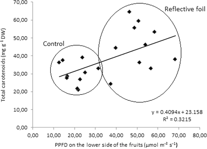 Influence Of Reflective Foil On Persimmon Diospyros Kaki Thunb Fruit Peel Colour And Selected Bioactive Compounds Scientific Reports