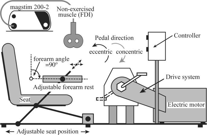 Global Corticospinal Excitability As Assessed In A Non Exercised Upper Limb Muscle Compared Between Concentric And Eccentric Modes Of Leg Cycling Scientific Reports