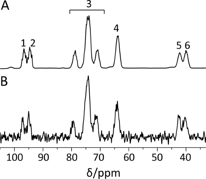 13 C 6 D 8 2 Deoxyglucose Phosphorylation By Hexokinase Shows Selectivity For The B Anomer Scientific Reports