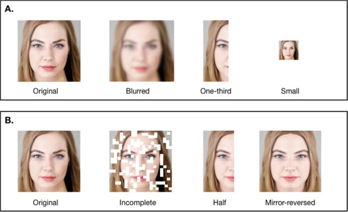 Humans Judge Faces In Incomplete Photographs As Physically More Attractive Scientific Reports