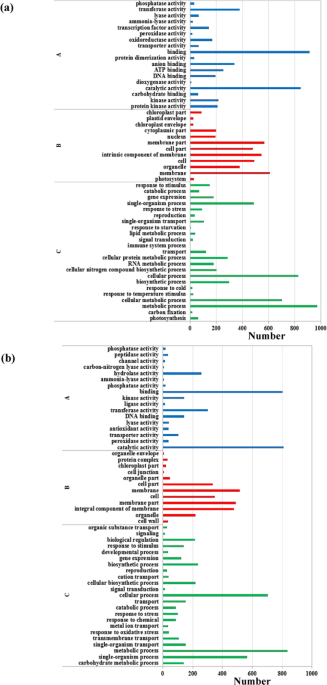 Transcriptome analysis in roots and leaves of wheat seedlings in response to low-phosphorus stress