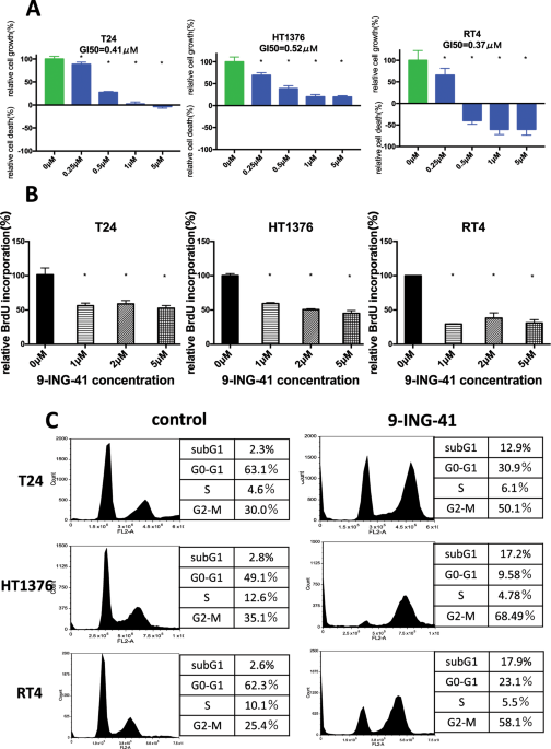 9 Ing 41 A Small Molecule Inhibitor Of Gsk 3beta Potentiates The Effects Of Anticancer Therapeutics In Bladder Cancer Scientific Reports
