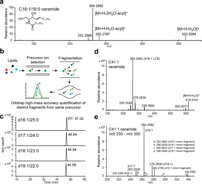 Parallel Reaction Monitoring Reveals Structure Specific Ceramide Alterations In The Zebrafish Scientific Reports