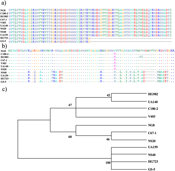 Diversity Of Spap In Genetic And Salivary Agglutinin Mediated Adherence Among Streptococcus Mutans Strains Scientific Reports Diversity Of Spap In Genetic And Salivary Agglutinin Mediated Adherence Among Streptococcus Mutans Strains Scientific Reports