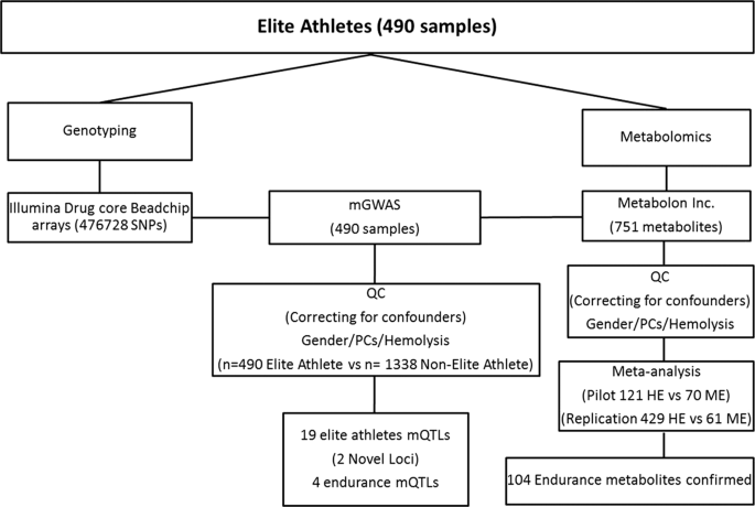 Metabolic Gwas Of Elite Athletes Reveals Novel Genetically Influenced Metabolites Associated With Athletic Performance Scientific Reports