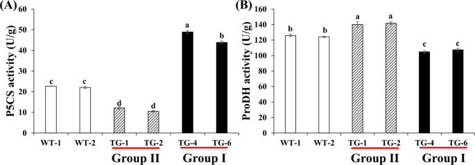 Proline improves switchgrass growth and development by reduced lignin biosynthesis