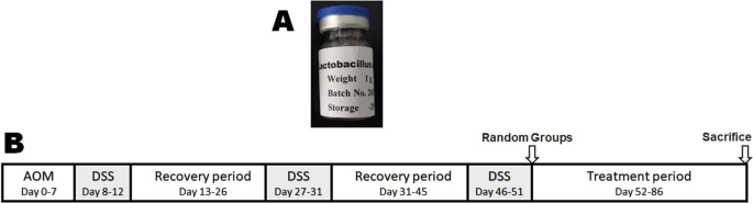 Lysates of Lactobacillus acidophilus combined with CTLA-4-blocking antibodies enhance antitumor immunity in a mouse colon cancer model