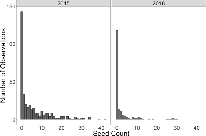 Determining The Efficacy Of A Hybridizing Agent In Wheat Triticum Aestivum L Scientific Reports Determining The Efficacy Of A Hybridizing Agent In Wheat Triticum Aestivum L Scientific Reports