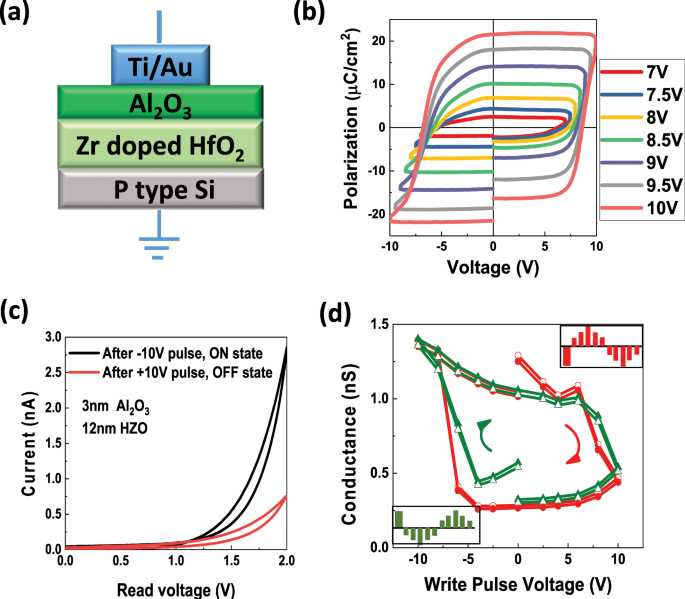 Ferroelectric Tunneling Junctions Based On Aluminum Oxide Zirconium Doped Hafnium Oxide For Neuromorphic Computing Scientific Reports