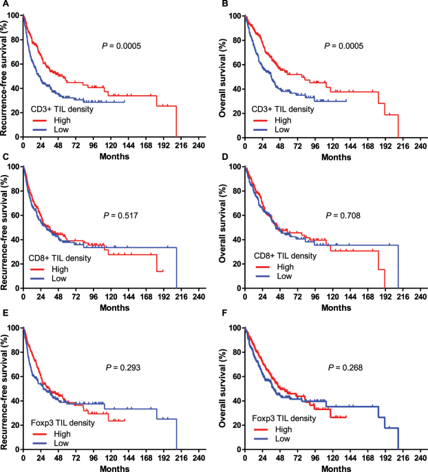 High cd3 and icos and low tim-3 expression predict favourable survival in resected oesophageal squamous cell carcinoma