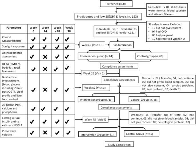 Vitamin D Supplementation in Overweight/obese Asian Indian Women with  Prediabetes Reduces Glycemic Measures and Truncal Subcutaneous Fat: A 78  Weeks Randomized Placebo-Controlled Trial (PREVENT-WIN Trial) | Scientific  Reports