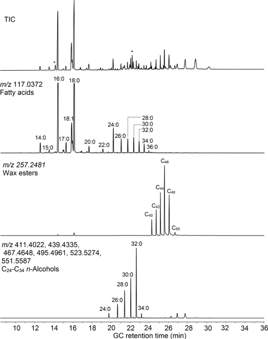 Digging deeper - A new data mining workflow for improved processing and  interpretation of high resolution GC-Q-TOF MS data in archaeological  research | Scientific Reports