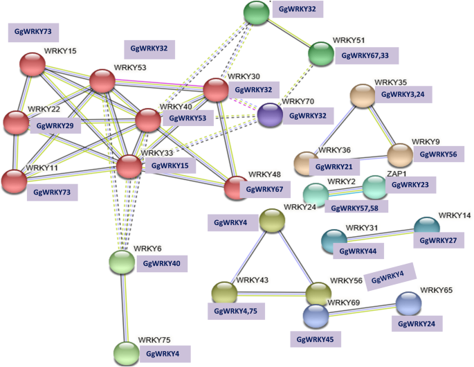 Frontiers  Identification of WRKY gene family members in amaranth based on  a transcriptome database and functional analysis of AtrWRKY42-2 in betalain  metabolism