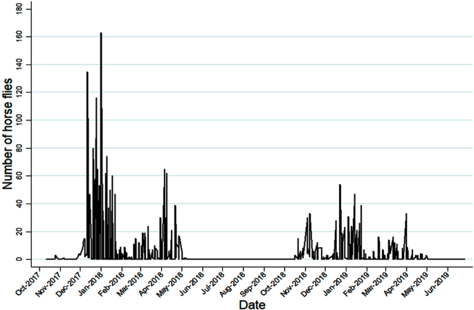 Diversity And Seasonality Of Horse Flies Diptera Tabanidae In Uruguay Scientific Reports