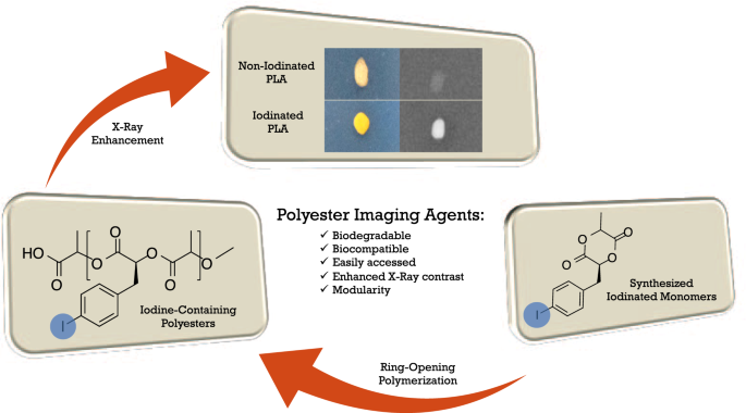 47+ Q 8.19 Predict The Major Product(S) Of The Following Reaction. Select All That Apply PNG