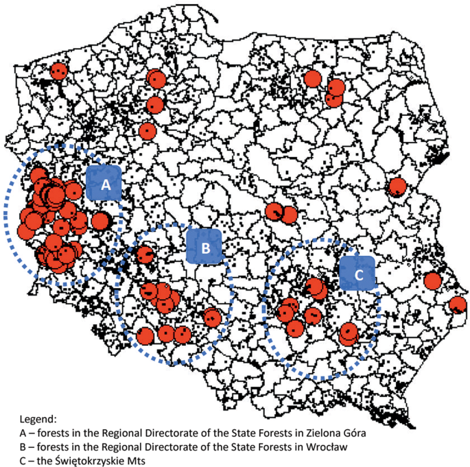 Distribution And Habitat Preferences Of The Stag Beetle Lucanus Cervus L In Forested Areas Of Poland Scientific Reports