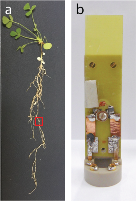 feature-image