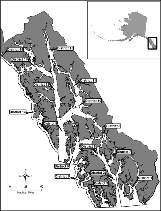 The protandric life history of the Northern spot shrimp Pandalus