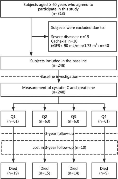 Sarcopenia index based on serum creatinine and cystatin C is associated  with 3-year mortality in hospitalized older patients | Scientific Reports