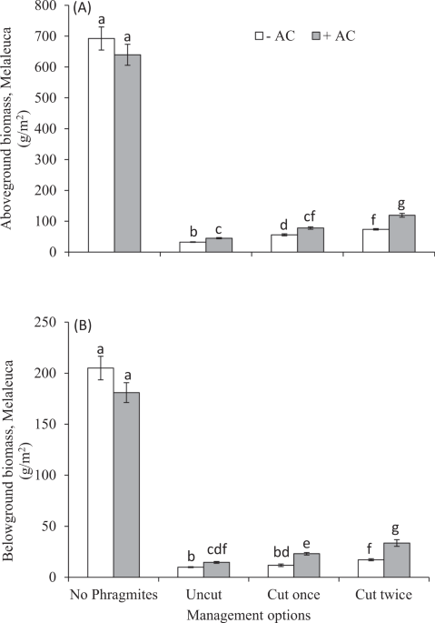Nitrogen Immobilization May Reduce Invasibility Of Nutrient Enriched Plant Community Invaded By Phragmites Australis Scientific Reports Nitrogen Immobilization May Reduce Invasibility Of Nutrient Enriched Plant Community Invaded By Phragmites Australis Scientific Reports